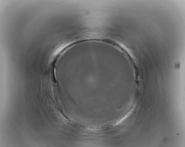 X0000092021453200709131546