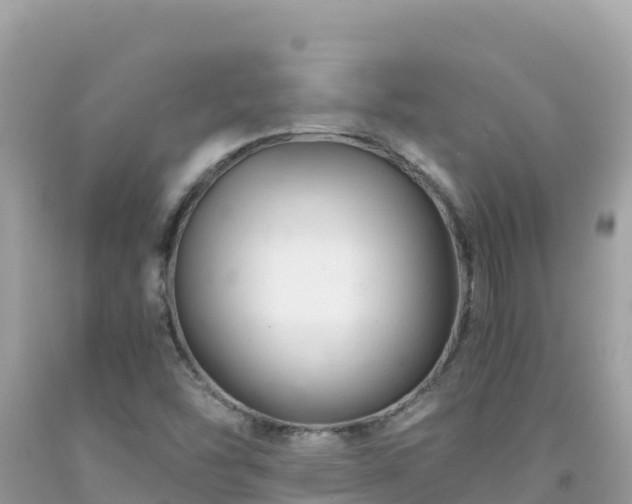 X0000092021454200709131546