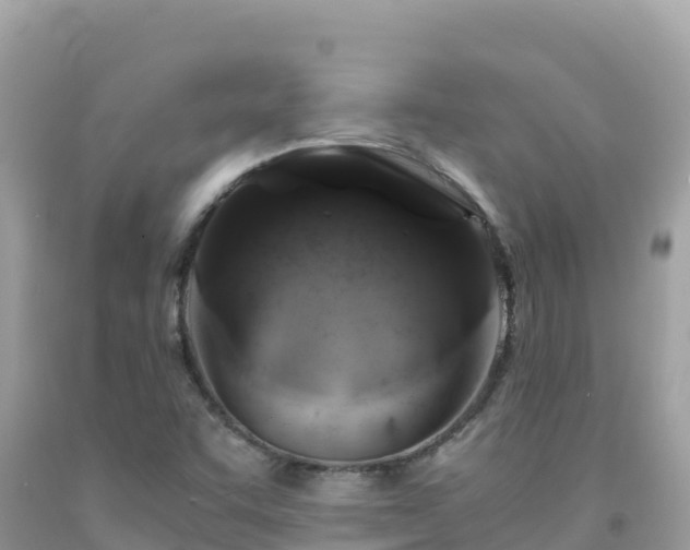 X0000092021455200709131546