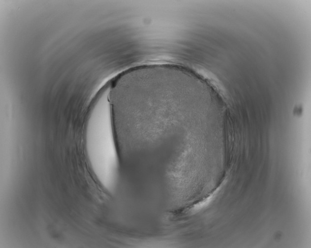 X0000092021457200709131546