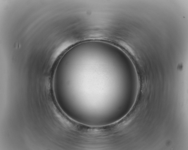 X0000092021458200709131546