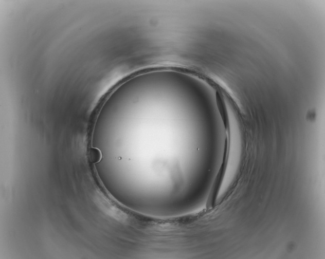 X0000092021460200709131546