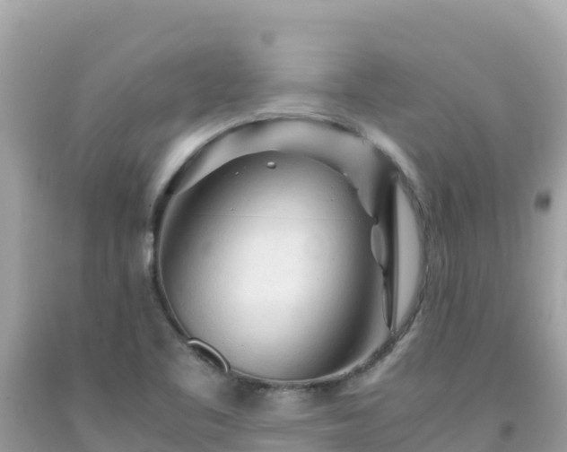 X0000092021461200709131546