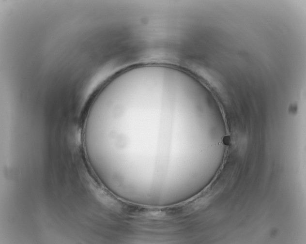X0000092021462200709131546