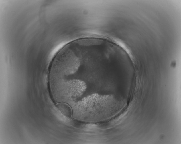 X0000092021463200709131546