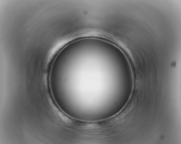 X0000092021464200709131546