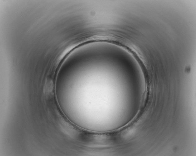X0000092021465200709131546