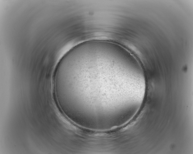 X0000092021467200709131545