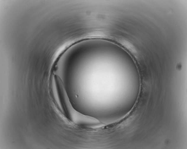X0000092021469200709131545