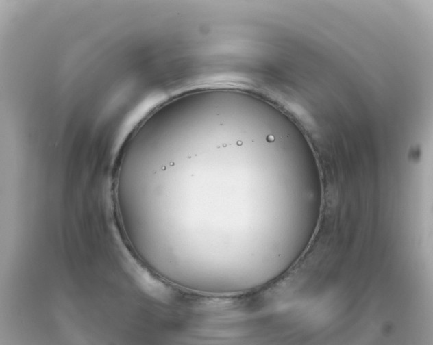 X0000092021470200709131545