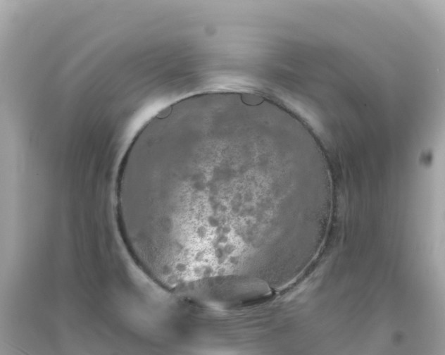 X0000092021471200709131545