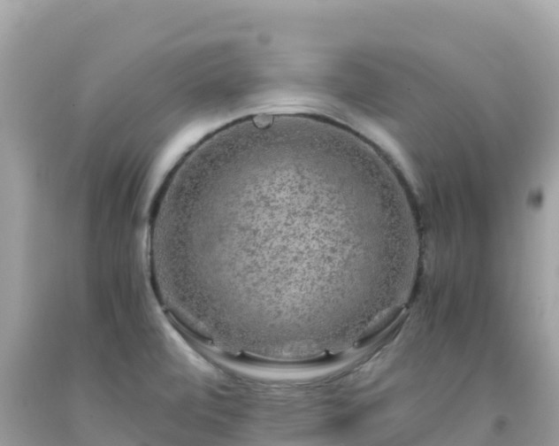 X0000092021472200709131545