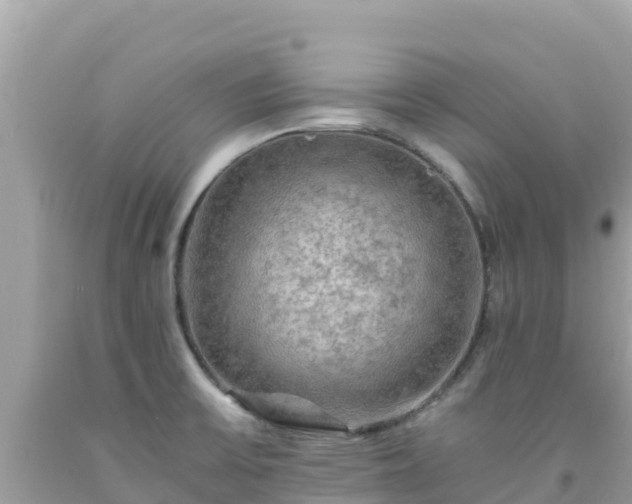 X0000092021475200709131545