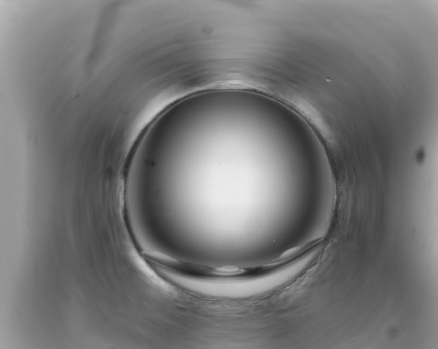 X0000092021476200709131545