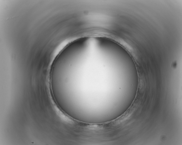 X0000092021478200709131545