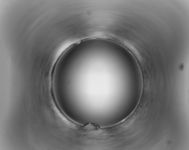 X0000092021479200709131545