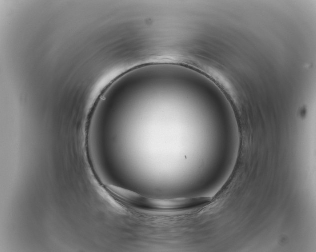 X0000092021480200709131545