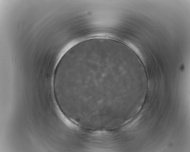 X0000092021482200709131545
