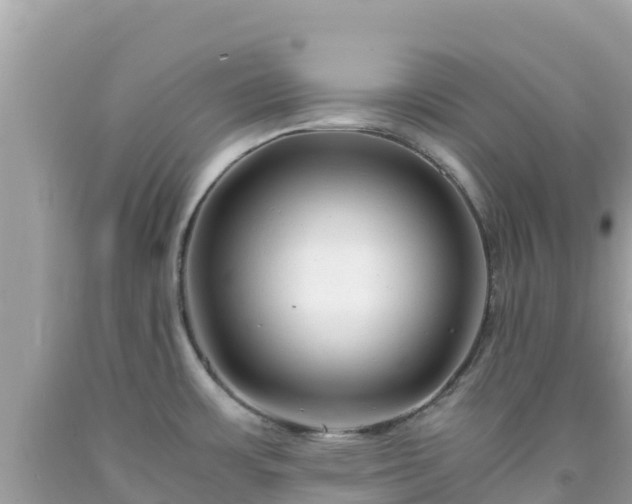 X0000092021483200709131545