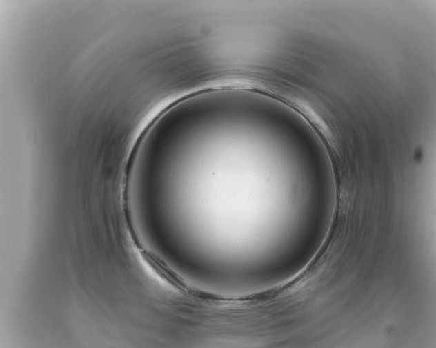 X0000092021484200709131545