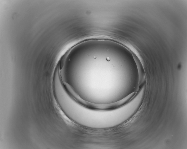 X0000092021485200709131545