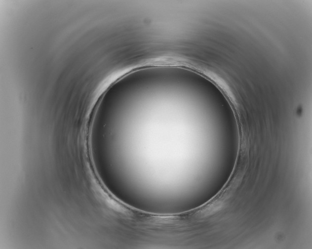 X0000092021486200709131545