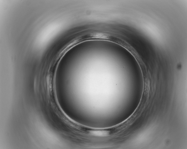 X0000092021487200709131545