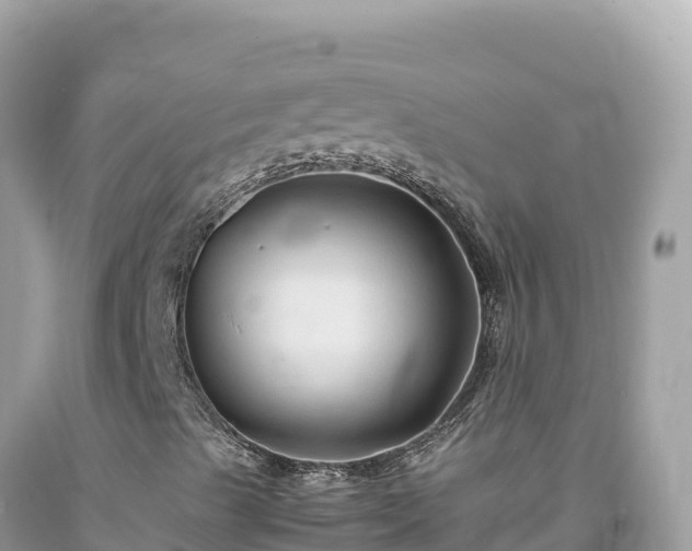 X0000092021489200709131545