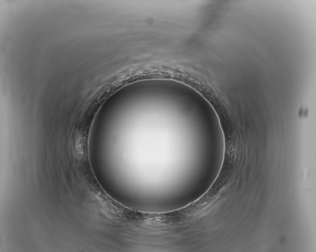 X0000092021490200709131545