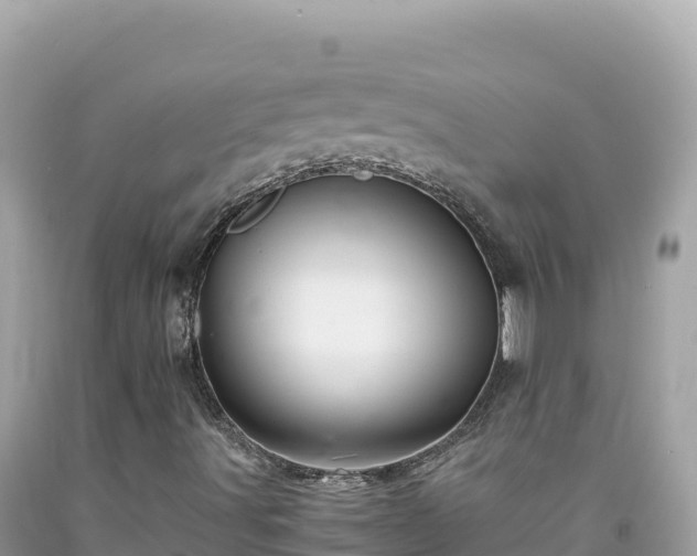 X0000092021491200709131545