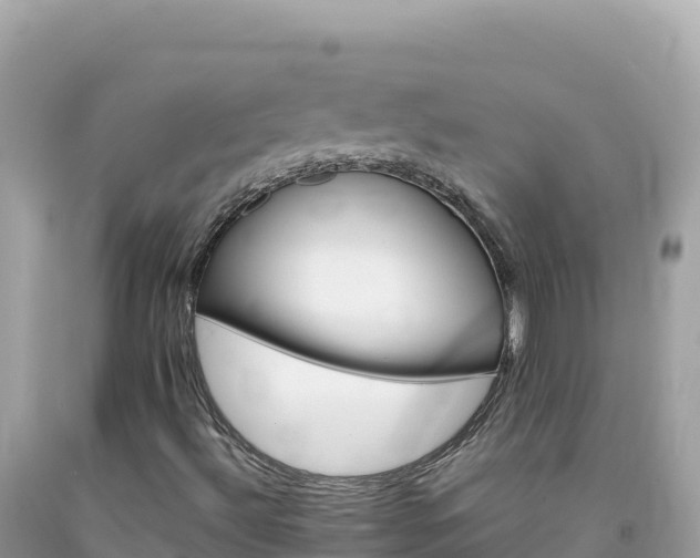 X0000092021492200709131545