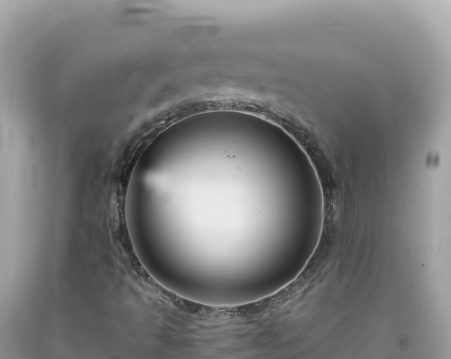 X0000092021493200709131545