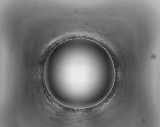 X0000092021494200709131545