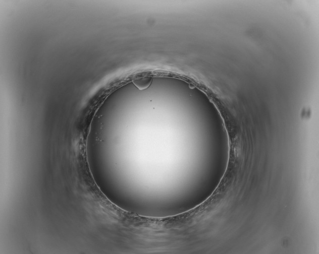 X0000092021495200709131545
