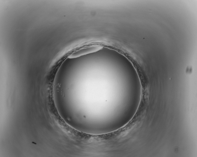 X0000092021496200709131545