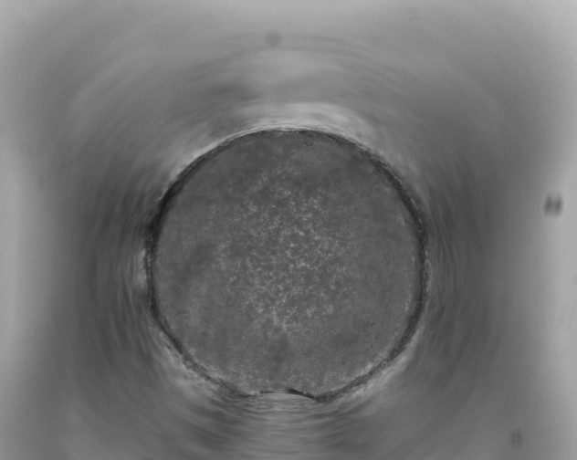 X0000092021497200709131545