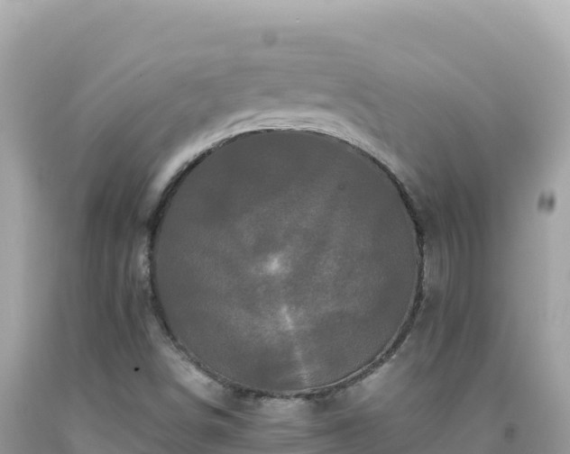 X0000092021498200709131545