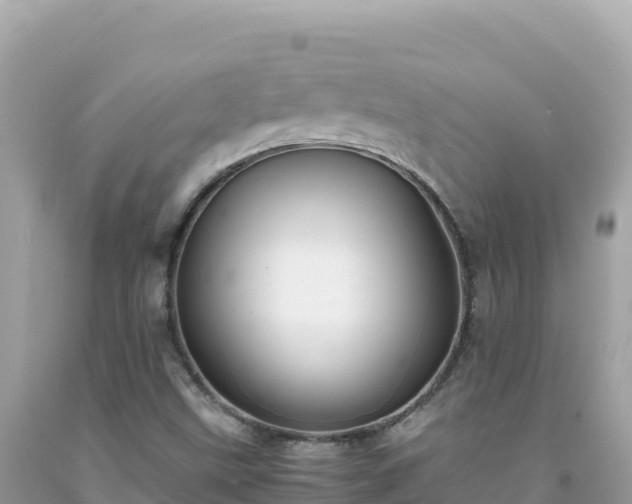 X0000092021499200709131545