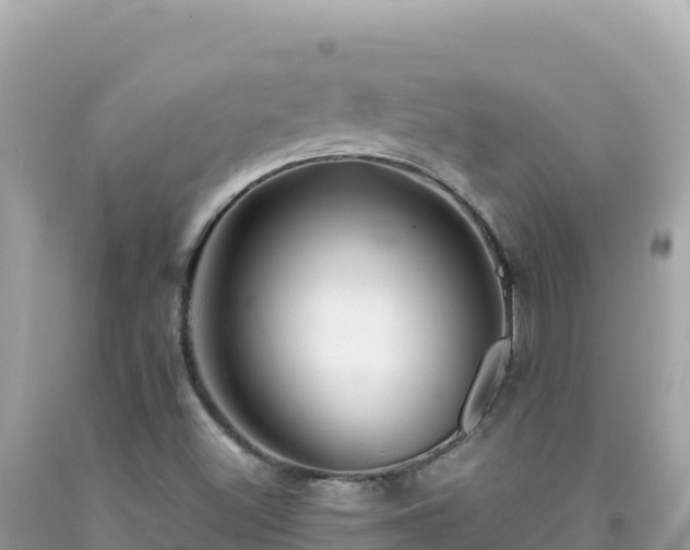X0000092021500200709131545
