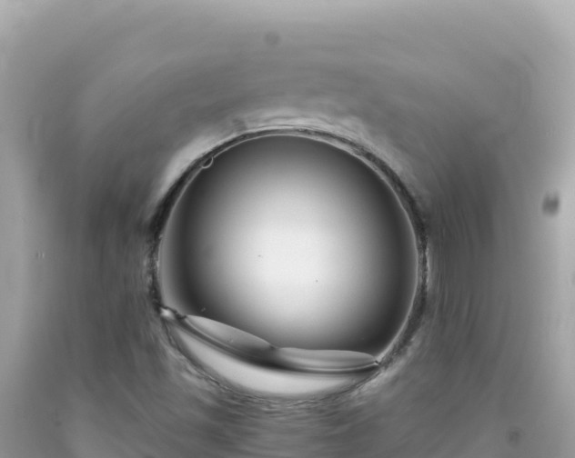 X0000092021501200709131545