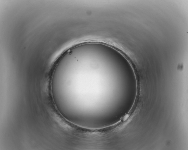 X0000092021502200709131545