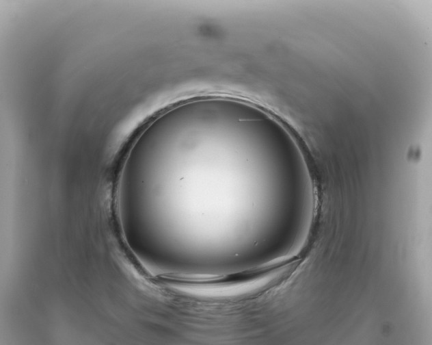 X0000092021503200709131545