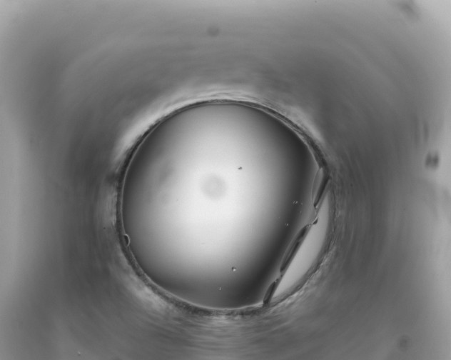 X0000092021504200709131545