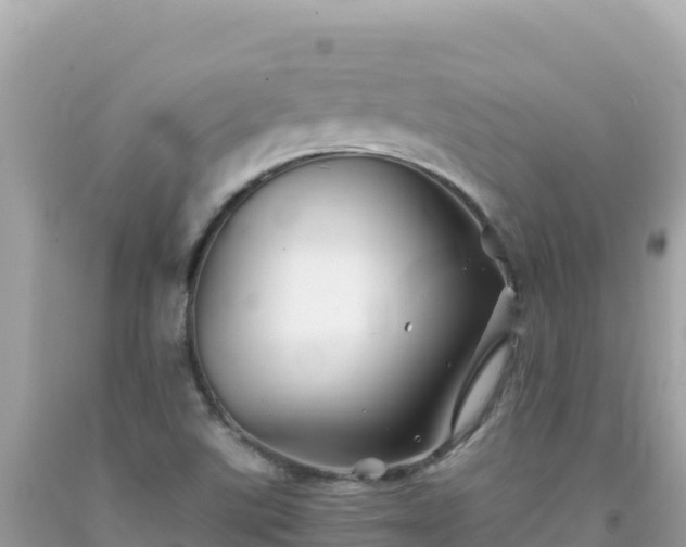 X0000092021507200709131545
