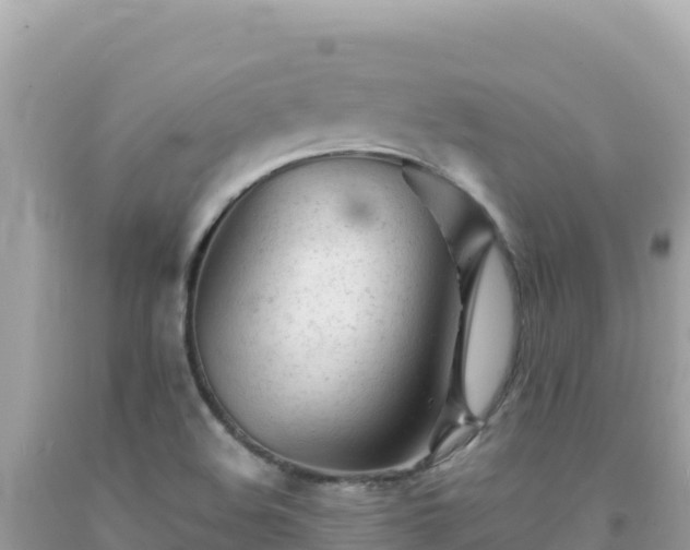 X0000092021508200709131545