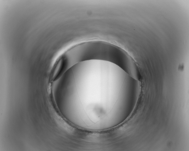X0000092021510200709131545