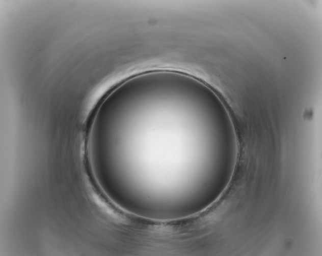 X0000092021511200709131545