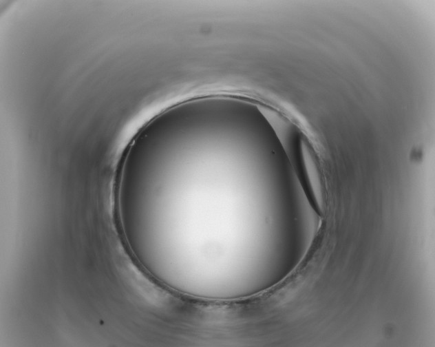 X0000092021512200709131545