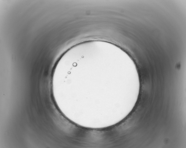 X0000092021514200709131545