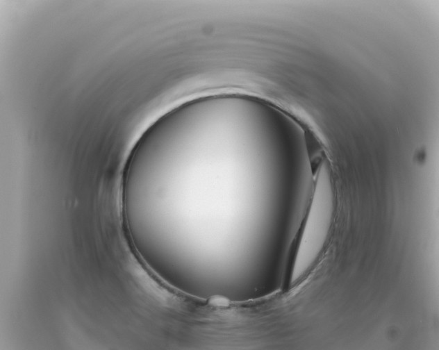 X0000092021516200709131545